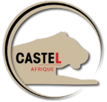 Logo Castel Afrique