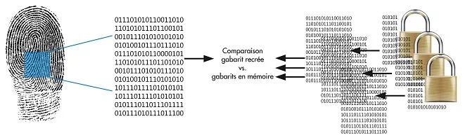 Le contrôle : le module vérifie que l’empreinte de la personne correspond à un gabarit préalablement enregistré : Le contrôle : le module vérifie que l’empreinte de la personne correspond à un gabarit préalablement enregistré :